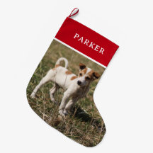 Ihr Personalisiertes Pet-Foto mit benutzerdefinier