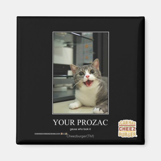 Ihr Prozac Magnet (Vorne)