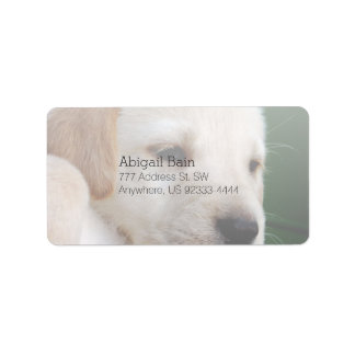 Ihr Square Image ersetzt Gelbe Labrador Puppy Adressaufkleber