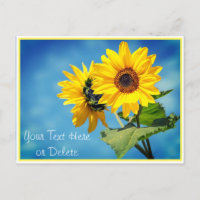 Ihr Text/Farbe Gelbe Sonnenblumen & Blauer Himmel