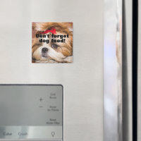 Ihr Welpengeschenk vergisst Hundefutter nicht