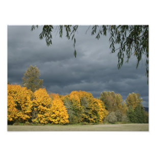 Ihre benutzerdefinierte 16" x 12" Foto-Erweiterung Fotodruck