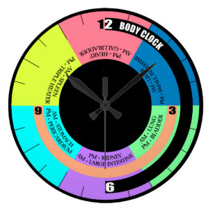 Ihre Biokörper-Wanduhr Große Wanduhr