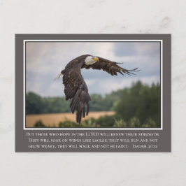 Ihre CoIor Flügel wie Eagles Isaiah 40:31 Bibel Postkarte