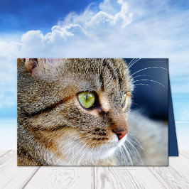 Ihre Foto Cat Condolences Beileid Grußkarte Karte