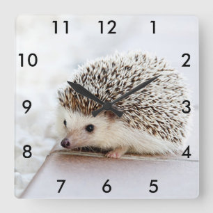 Ihre Foto-kundenspezifische quadratische Uhr mit