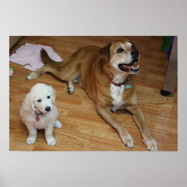 Ihre furchen Babys auf Papier Poster (Vorne)