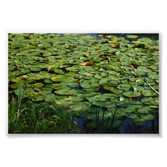 Ihre Karte oder meine Fotodruck (Vorne)