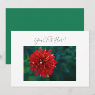 Ihre Text Prächtige Rote Dahlie Blumen Einladung