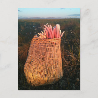 Iitat Postkarte