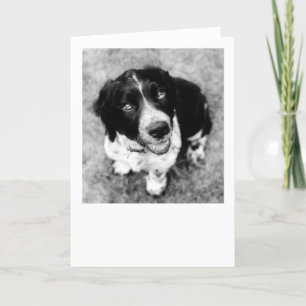 Ike Smiles Card Karte