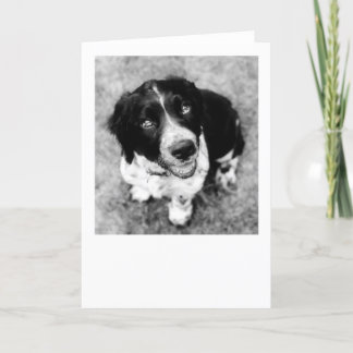 Ike Smiles Card Karte