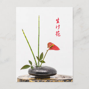 Ikebana Postkarte
