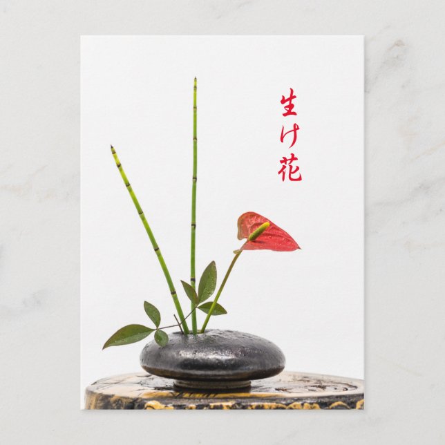 Ikebana Postkarte (Vorderseite)