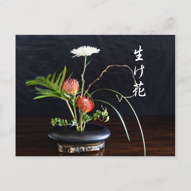 Ikebana Postkarte (Vorderseite)
