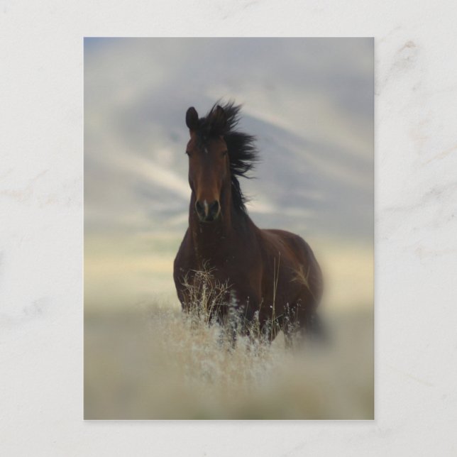 Ikonische Postkarte (Vorderseite)