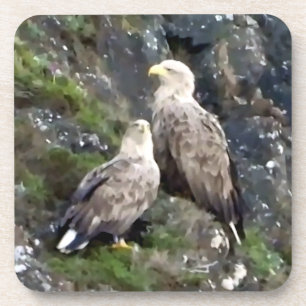 Ikonisches schottisches Hochland-Weißschwanzadler- Getränkeuntersetzer
