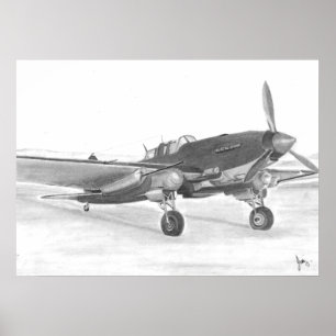 IL2 Sturmovik picture Poster