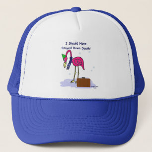Il Aurait Dû Rester Casquette Sud