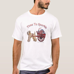 Il est temps d’étinceler le T-shirt masculin