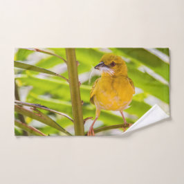 Il est temps de construire le nid