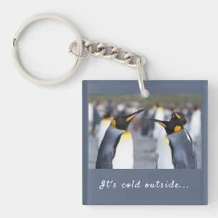 Il fait froid à l'extérieur de King Penguin photo 