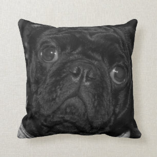 Il garnit de coussins Pug Noir