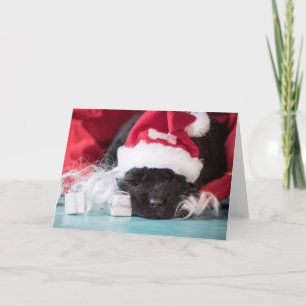 Il "nez : si vous avez été une carte coquine