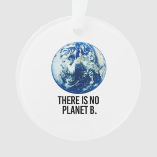 Il n'y a pas de planète B