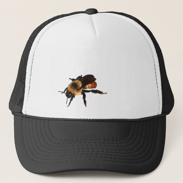 Il y a une abeille de miel sur votre casquette ! (Devant)