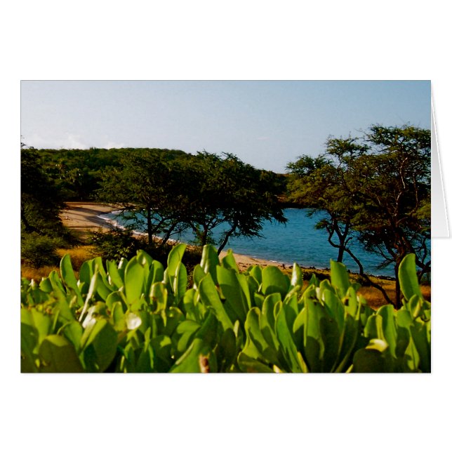 Île de Lanai à Hawaii (Devant horizontal)
