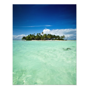 Île du Pacifique avec palmiers photo imprimé