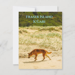 Île Fraser / Carte postale K'Gari