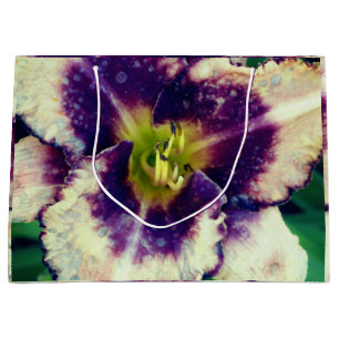 Ilium Fotografie  Große Geschenktüte