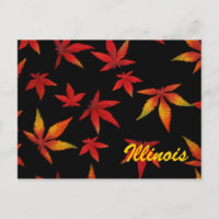 Illinois Autumn Leaves Postcard