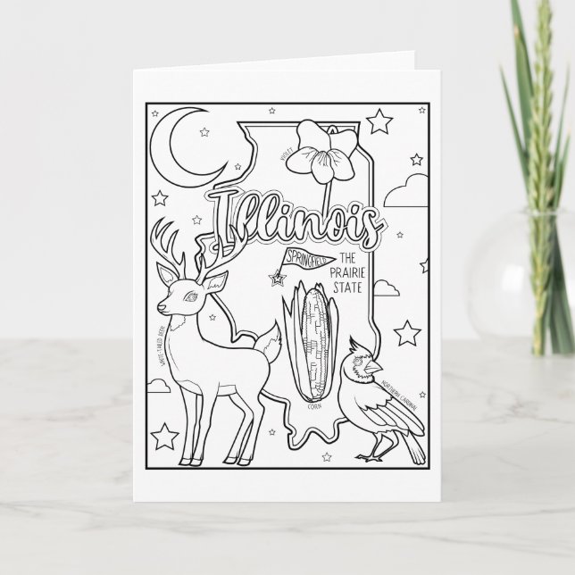 Illinois Farbkollage Feiertagskarte (Vorderseite)