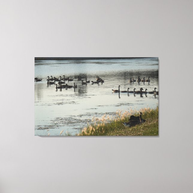 Illinois lebt leinwanddruck (Vorderseite)