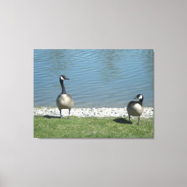 Illinois lebt leinwanddruck