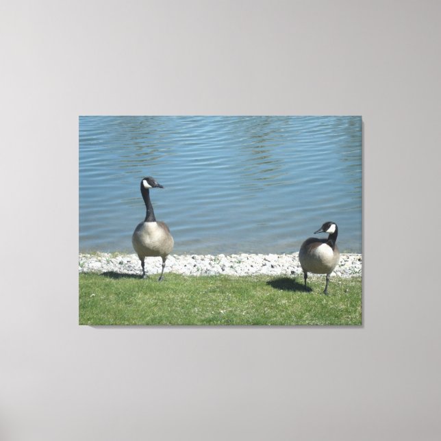 Illinois lebt leinwanddruck (Vorderseite)