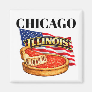 Illinois-Quadrat-Magnet Magnet