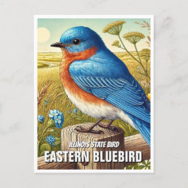 Illinois Staat Bird Eastern Bluebird Postkarte