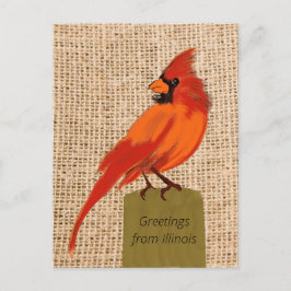 Illinois Staat Bird Postkarte