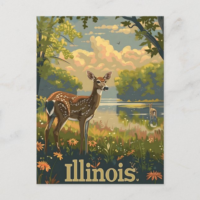 Illinois Weißschwanzhirsche Postkarte (Vorderseite)