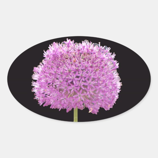 Illium Summer Spring Blume - Irish Design Ovaler Aufkleber (Vorderseite)
