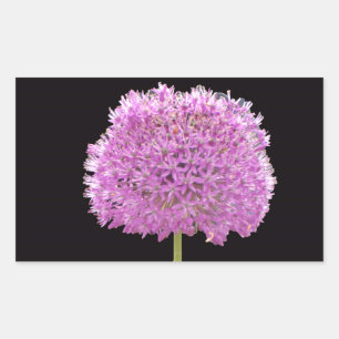 Illium Summer Spring Blume - Irish Design Rechteckiger Aufkleber