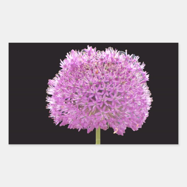 Illium Summer Spring Blume - Irish Design Rechteckiger Aufkleber (Vorderseite)