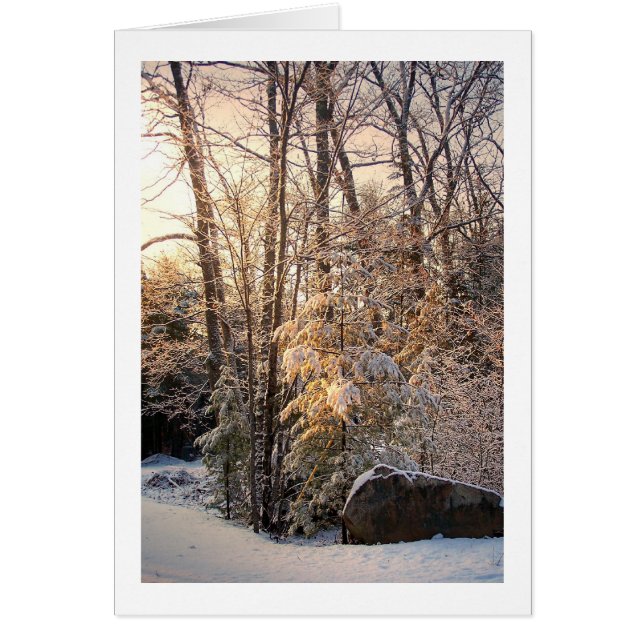 Illuminierter Winter (Vorne)