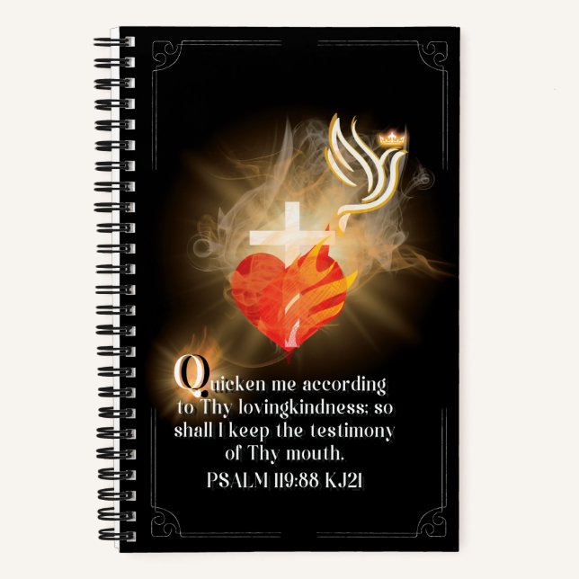 Illuminiertes Journal Q Notizbuch (Vorderseite)