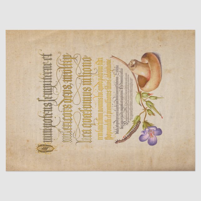 Illuminiertes Kalligraphiefachpapier Seidenpapier (Vorderseite)