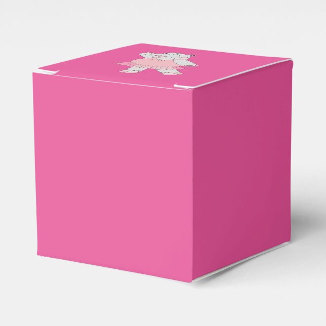 illusima Ballerina Hippo Geschenkschachtel (Vorderseite)